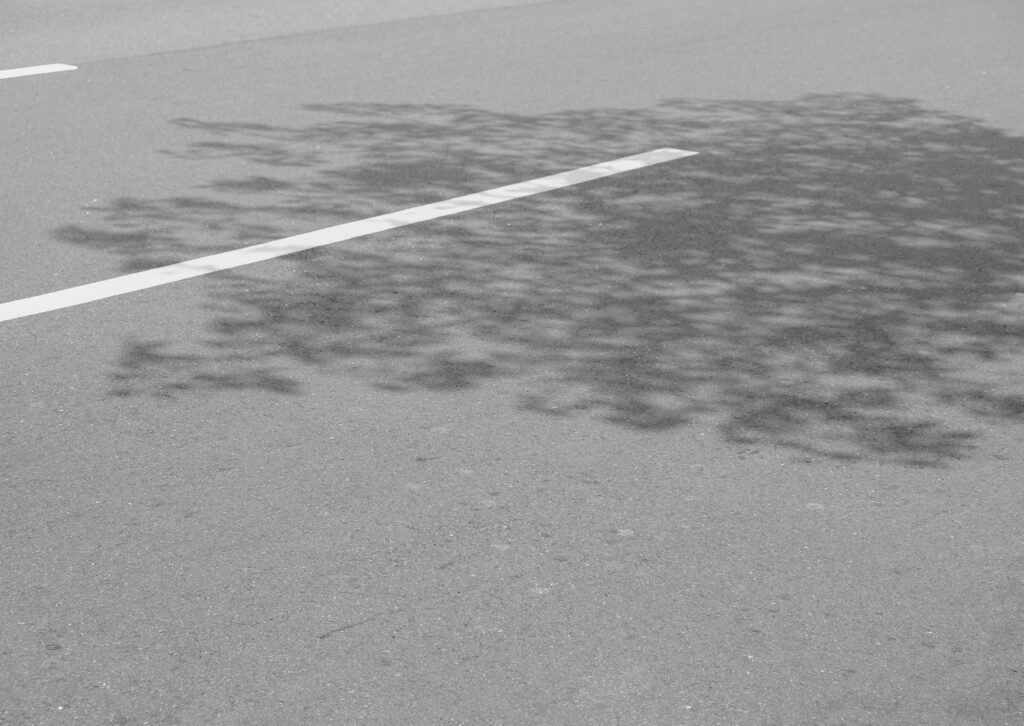 aszfalt takarítás Lazell Work Kft.